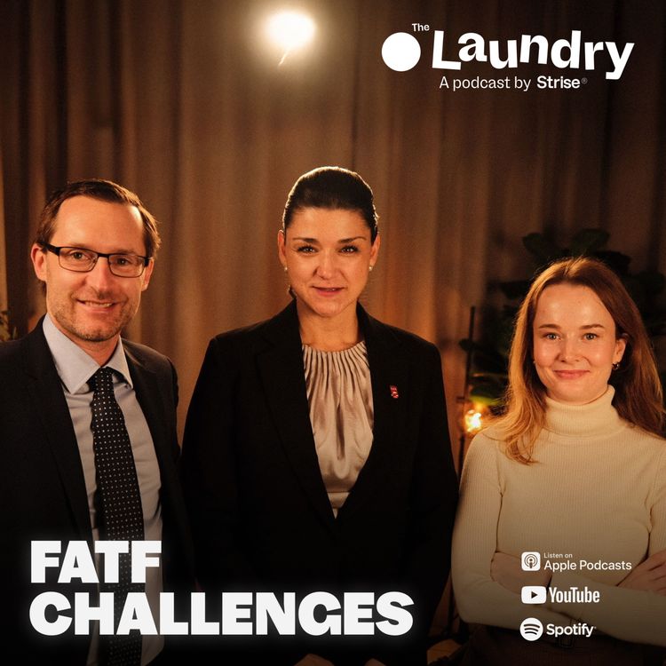 cover art for E143: What keeps FATF up at night?