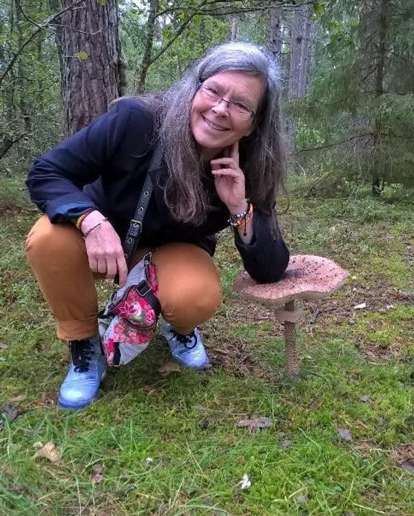 cover art for Vad är livet - egentligen? Och vad är döden?
