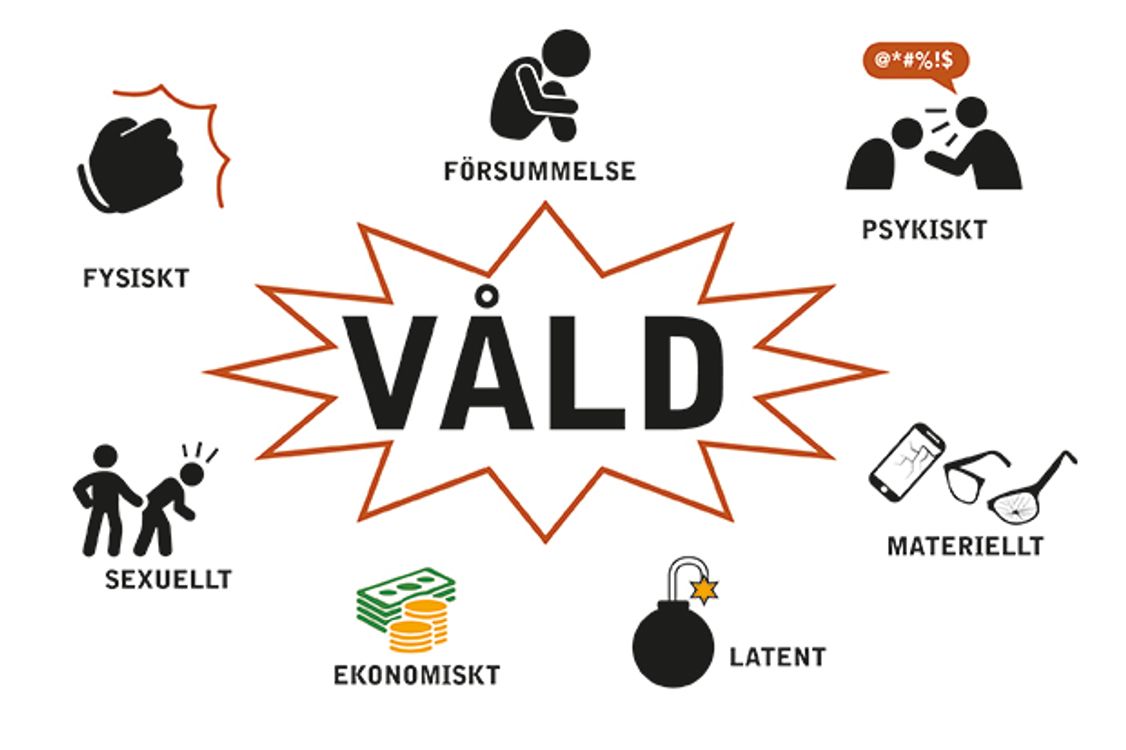 cover art for Myter om våld i nära relation