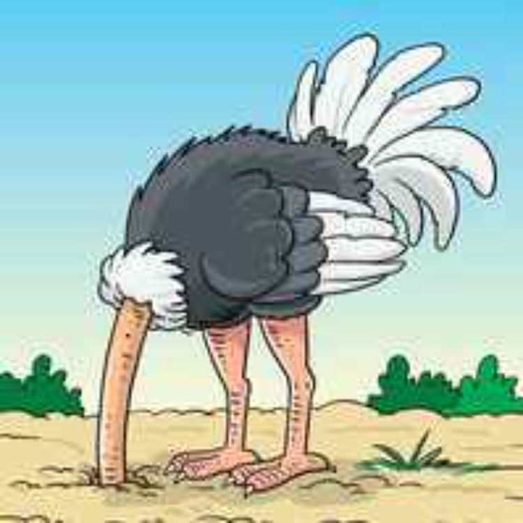 cover art for Försvarsmekanismer - Till vilken nytta