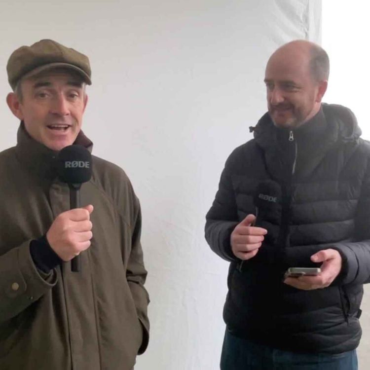 cover art for Irish Examiner at Cheltenham: Day 2 preview
