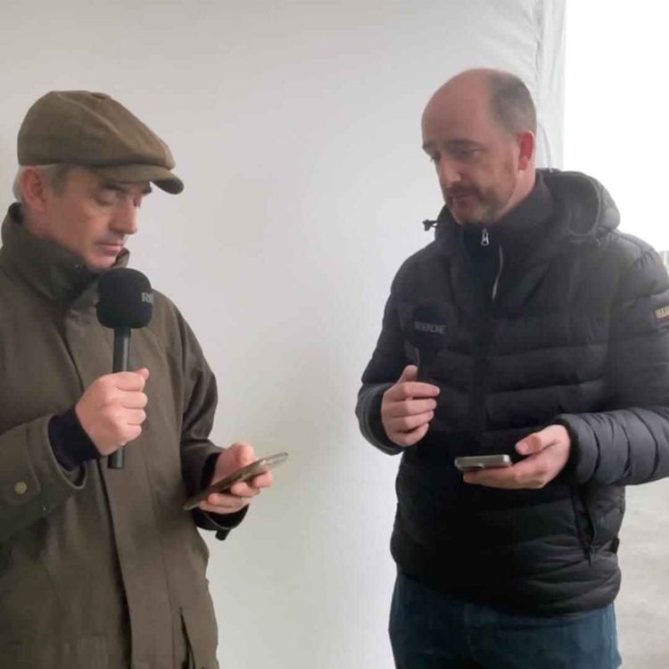 cover art for Irish Examiner at Cheltenham: Day 4 preview