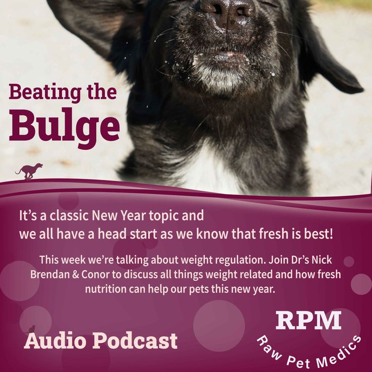 cover art for Beating the Bulge