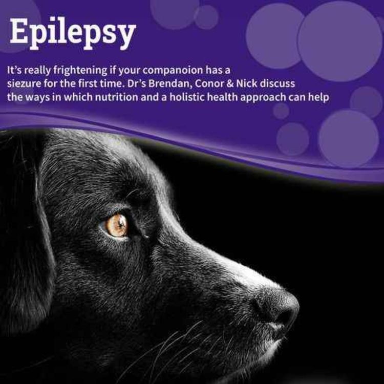 cover art for Epilepsy