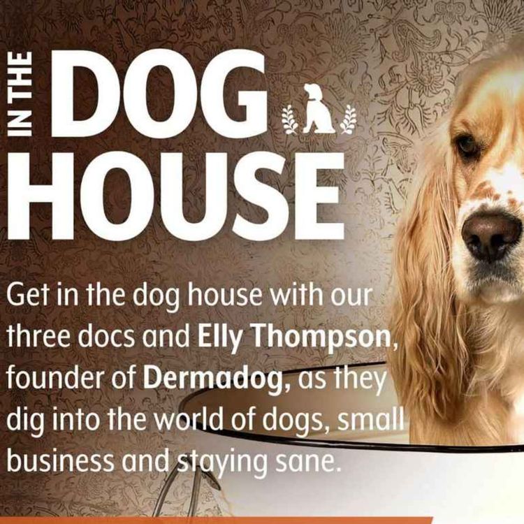 cover art for In The Dog House