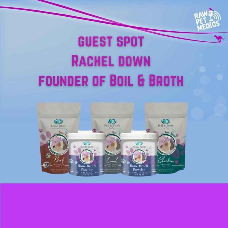 cover art for Guest Spot