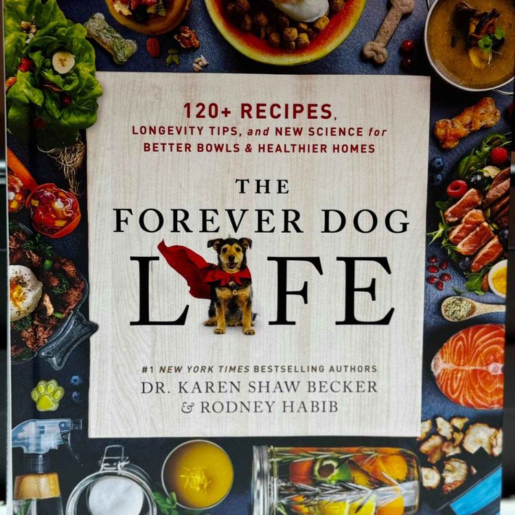 cover art for Forever Dog Life Review