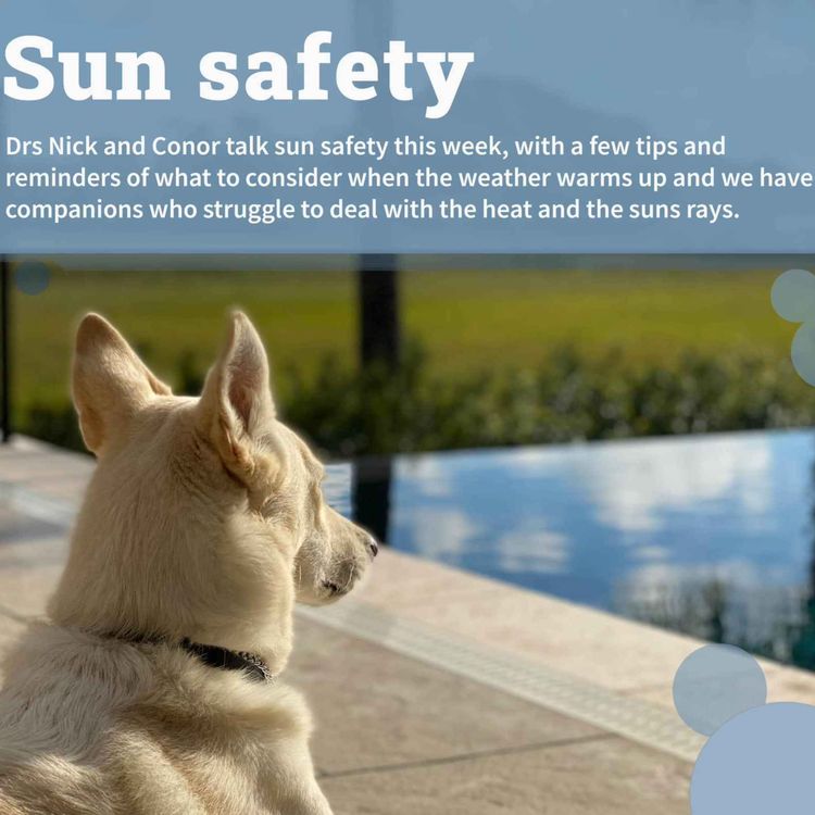 cover art for Sun safety