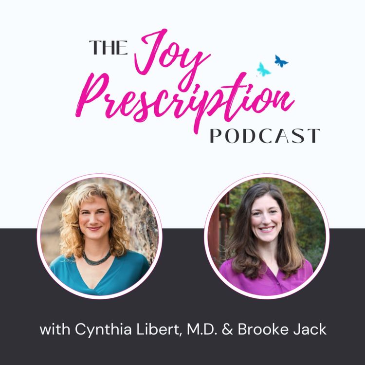 cover art for 4. The Joy Prescription Podcast - Abiding in Christ & Building Stress Resilience