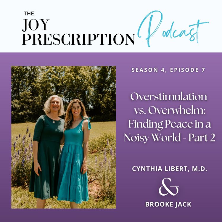 cover art for Overstimulation vs. Overwhelm: Finding Peace in a Noisy World - Part 2