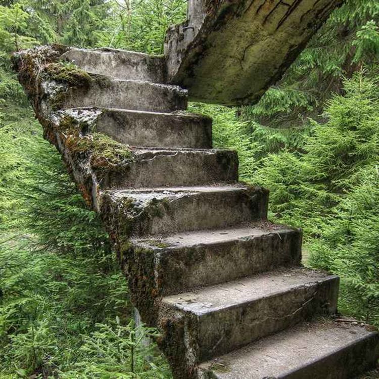 cover art for The Lost Hikers of the National Park Service