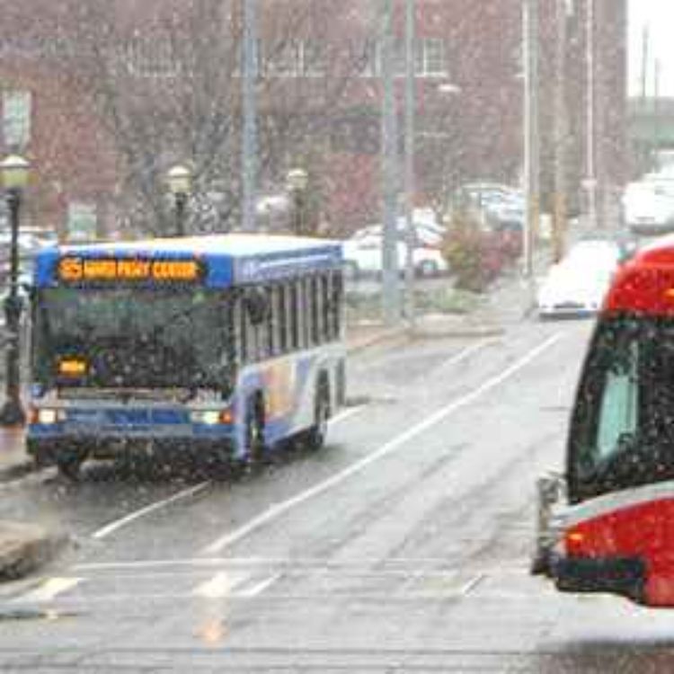 cover art for All About Busses