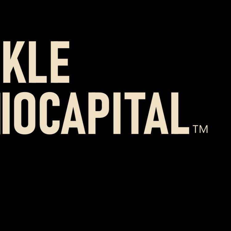 cover art for This podcast has been sold to Private Equity