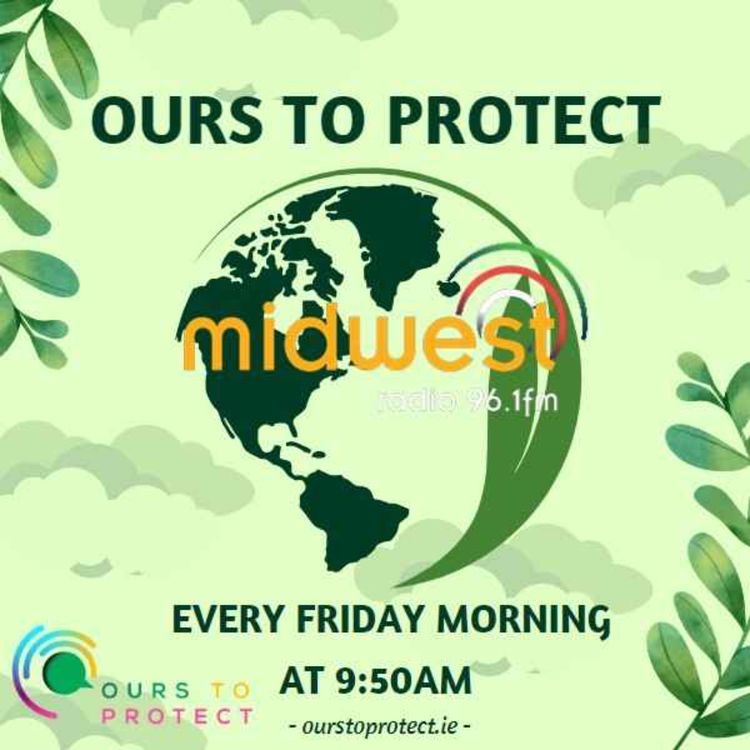 cover art for Ours to protect - Episode 12