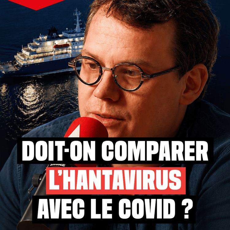cover art for Hantavirus : faut-il s'inquiéter ? L'explication de notre journaliste 