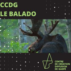 cover art for CCDG le balado