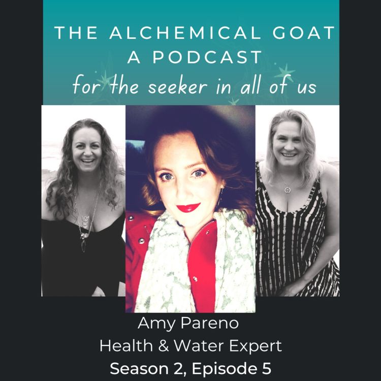 cover art for Amy Pareno, Health & Water Expert