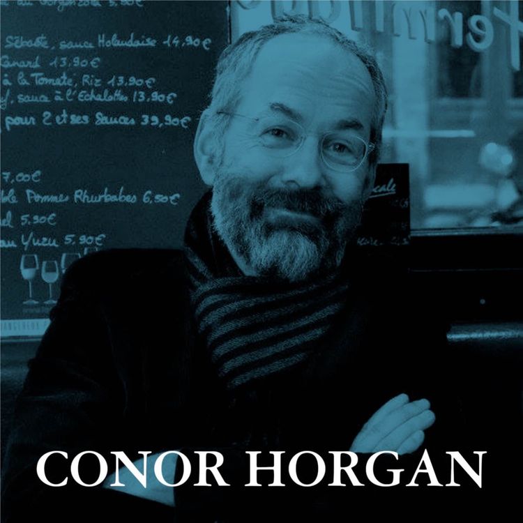 cover art for Pages 227 - 234 │ Lestrygonians, part VI │ Read by Conor Horgan