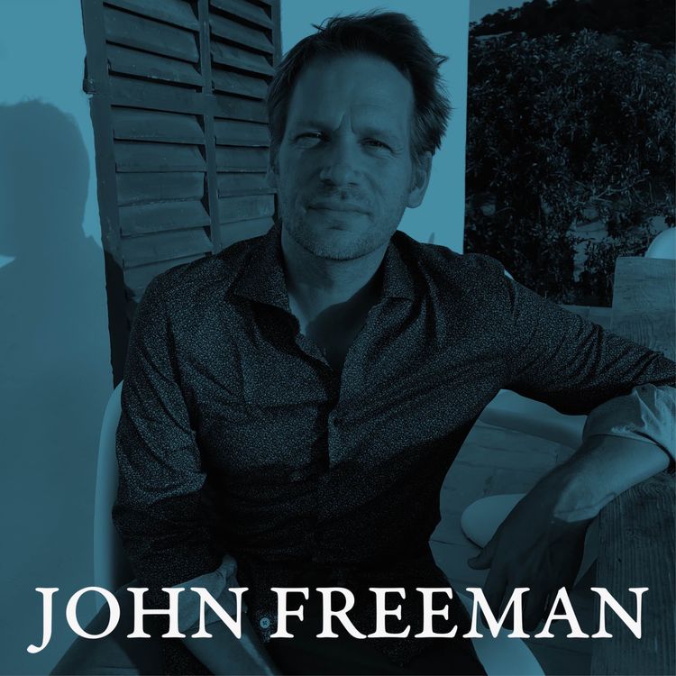 cover art for Pages 288 - 293 │Wandering Rocks, part II│Read by John Freeman 