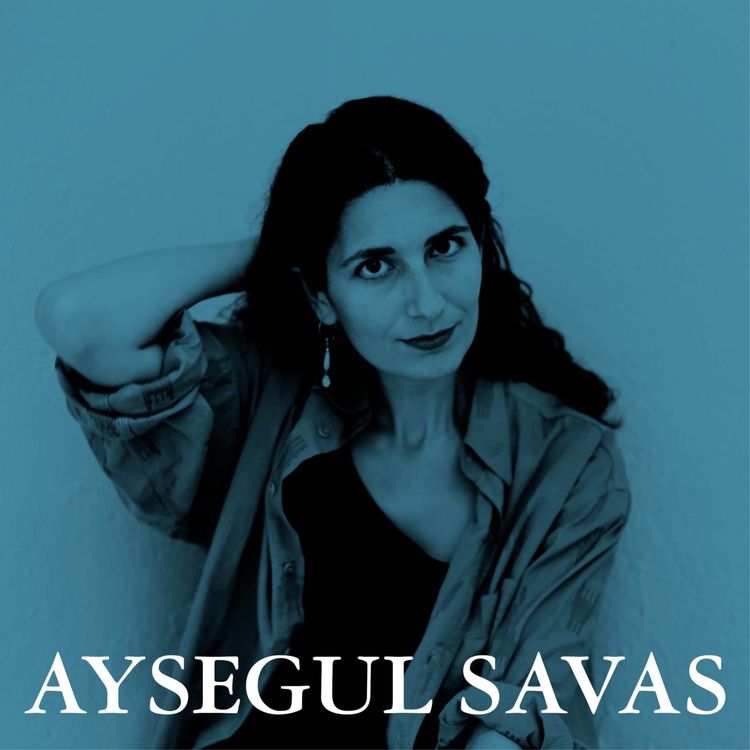 cover art for Pages 293 - 302 │ Wandering Rocks, part III │Read by Aysegul Savas