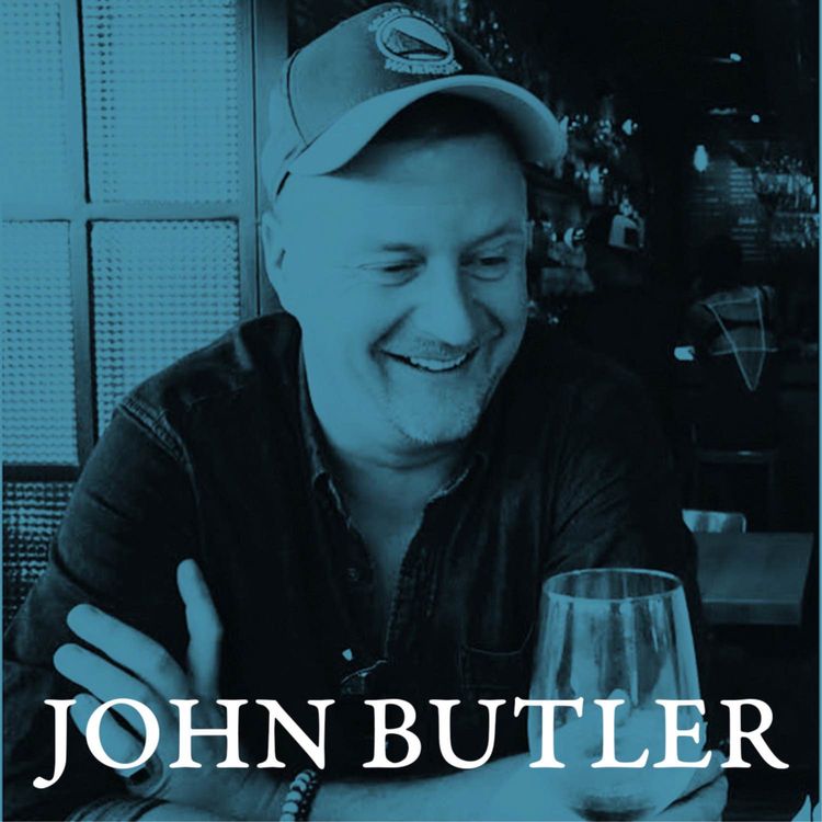 cover art for Pages 310 - 316 │ Wandering Rocks, part V │ Read by John Butler