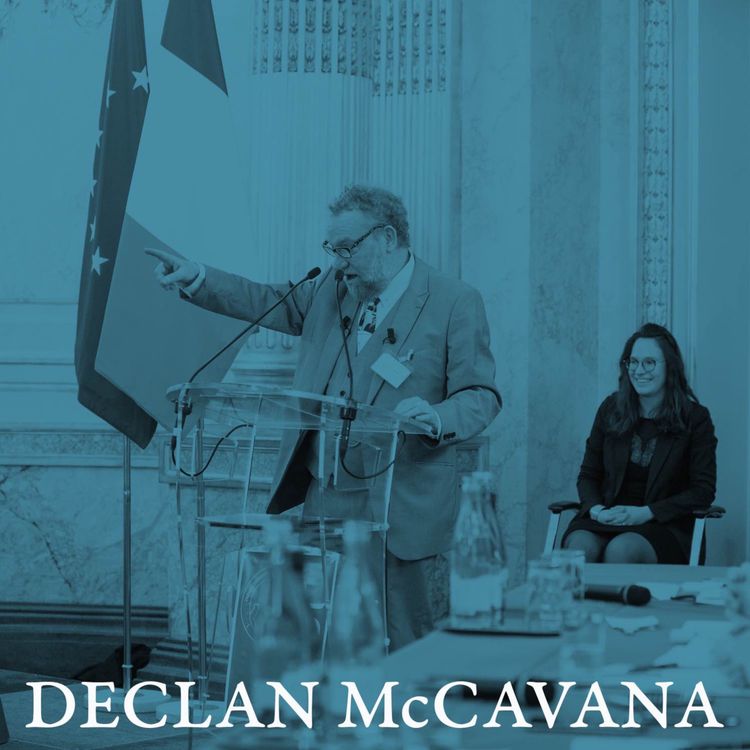 cover art for Pages 766 - 776 │ Eumaeus, part VIII │ Read by Declan Mc Cavana