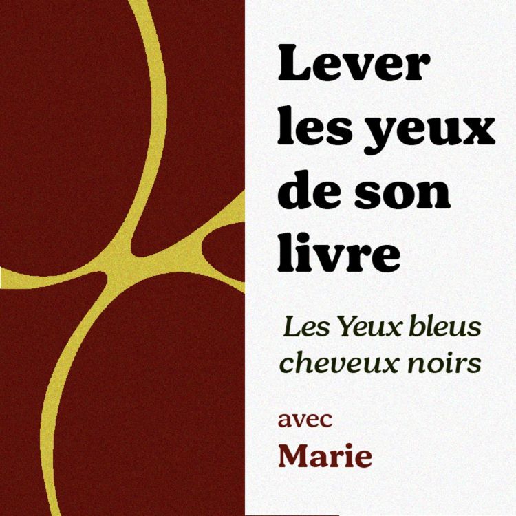 cover art for Les Yeux bleus cheveux noirs avec Marie