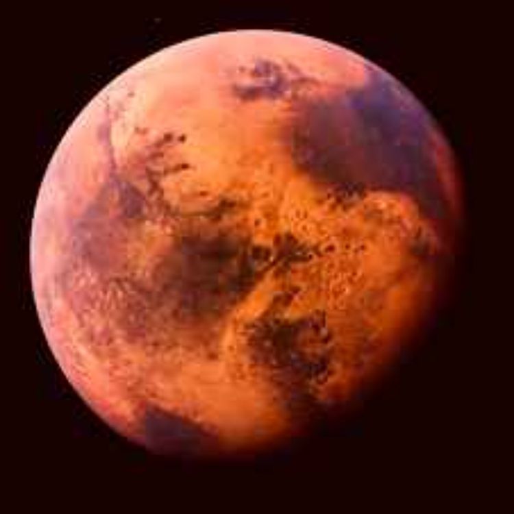 cover art for The Future Of Life On Mars