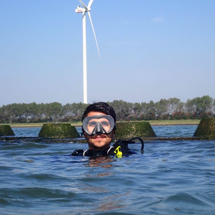 cover art for The Future Of Coastal Engineering