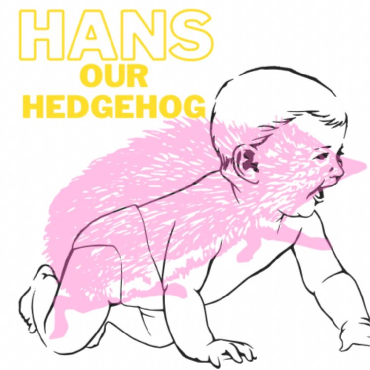 cover art for Hans Our Hedgehog