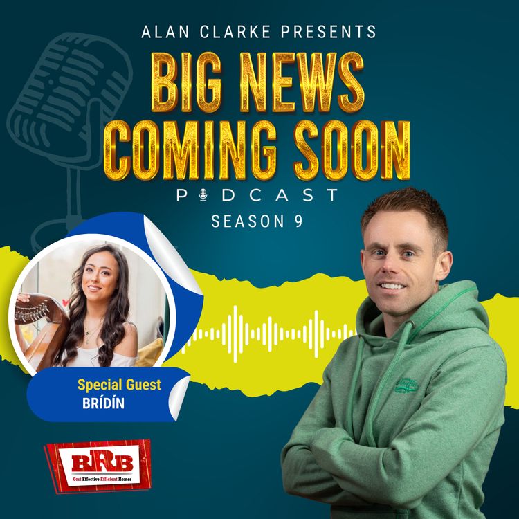 cover art for Brid Mc Gowan (BRIDIN) - Spirits having a human experience