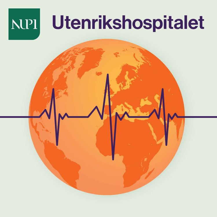 cover art for Hvem skal bestemme over internett?