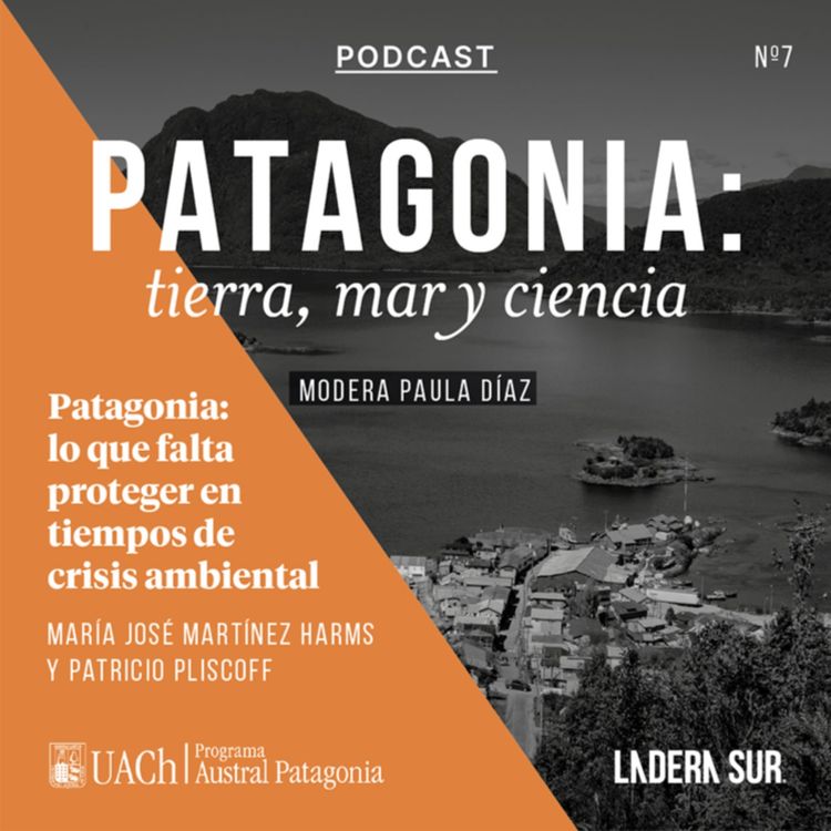 cover art for Patagonia: lo que falta proteger en tiempos de crisis ambiental