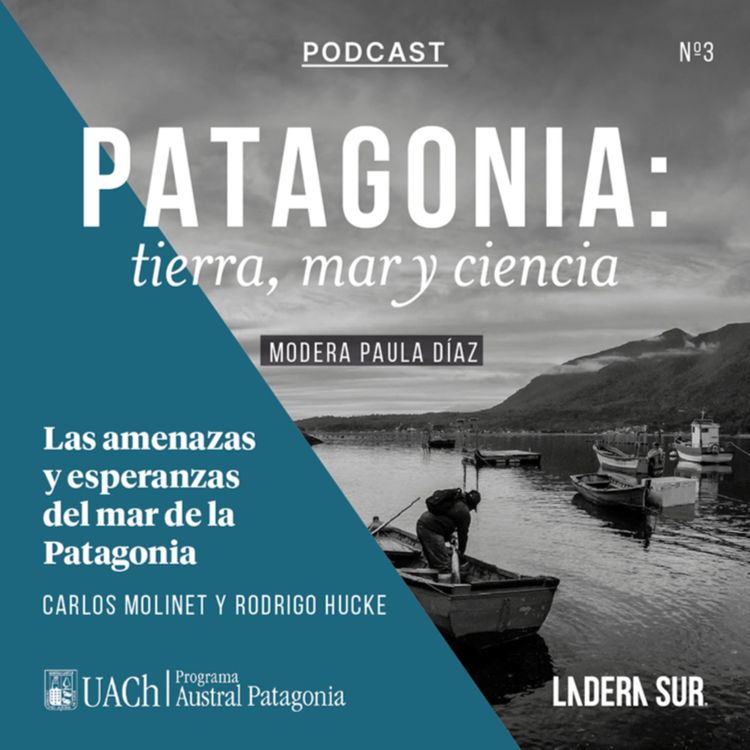 cover art for Las amenazas y esperanzas del mar de la Patagonia