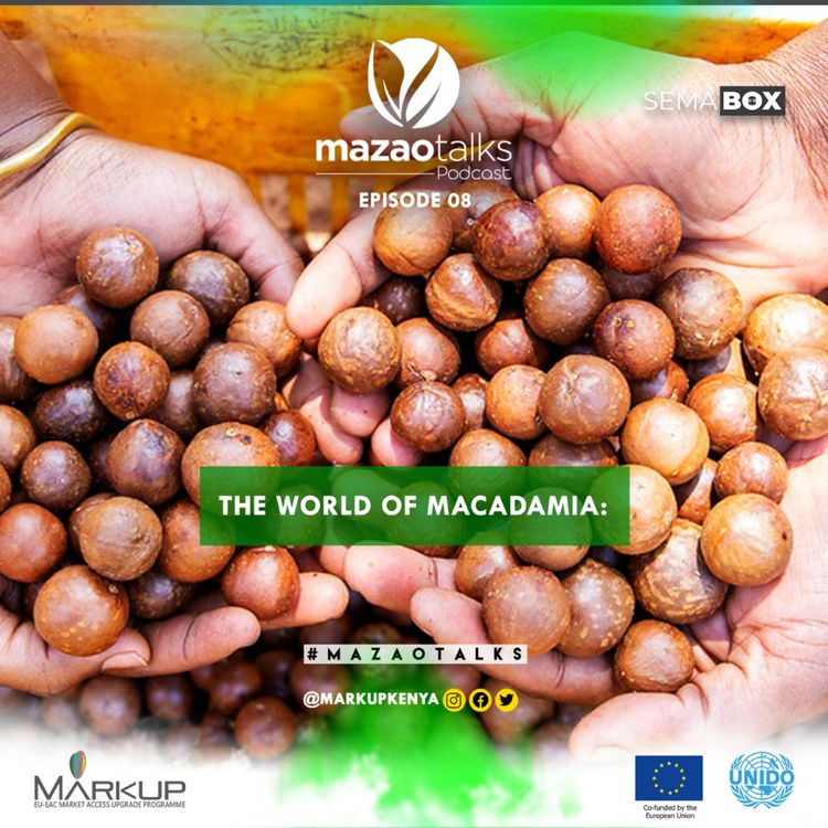 cover art for THE WORLD OF MACADAMIA
