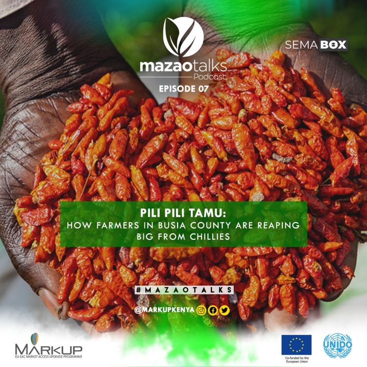 cover art for PILI PILI TAMU : How farmers in Busia County are reaping big from chillies