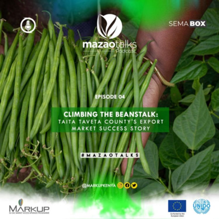 cover art for CLIMBING THE BEANSTALK: Taita Taveta county's export market success story.