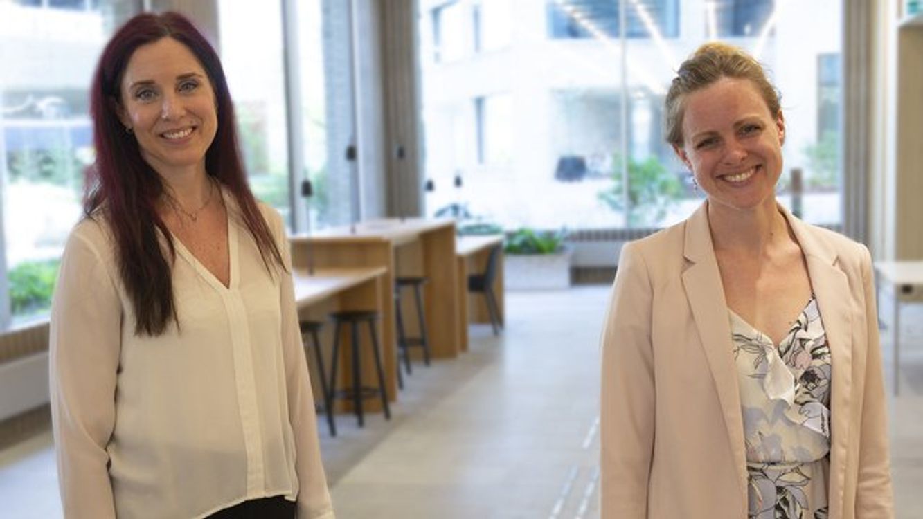 cover art for Tips till ingenjörer som är nya Sverige