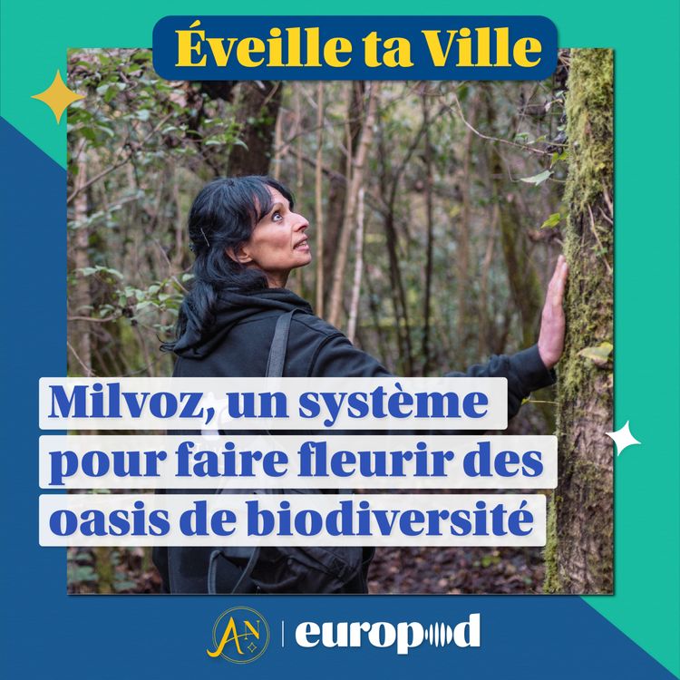 cover art for Milvoz : un système pour faire fleurir des oasis de biodiversité