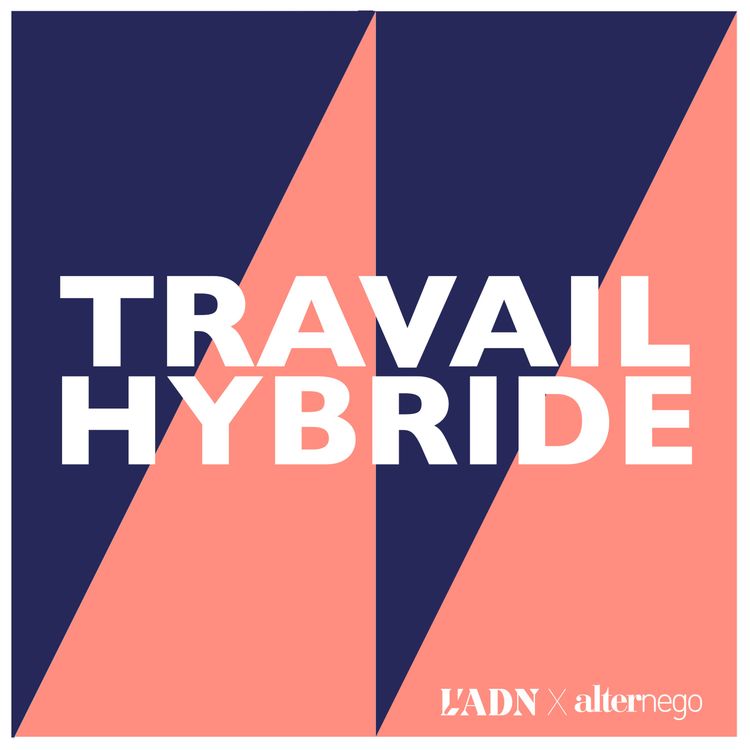 cover art for Travail Hybride