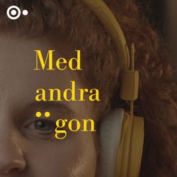 cover art for Med andra ögon 