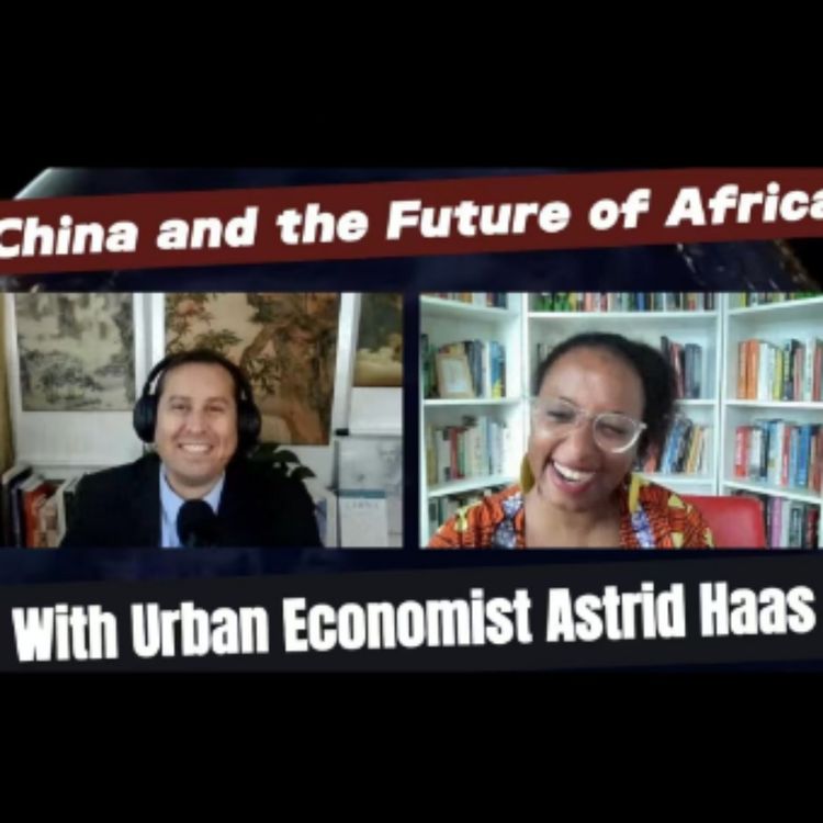 cover art for China and the future of Africa