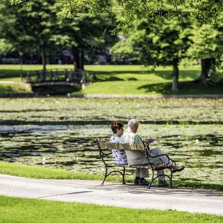 cover art for Why has China’s retirement age been raised?