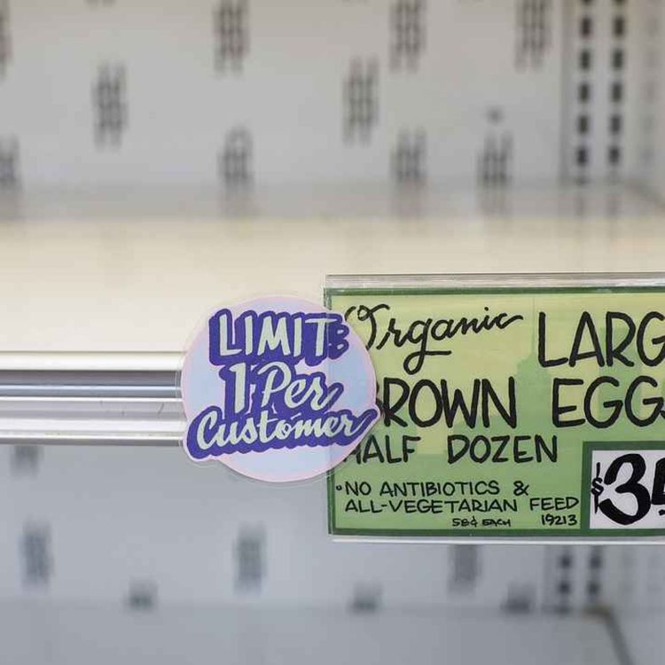 cover art for Is panic shopping returning amidst the trade war?