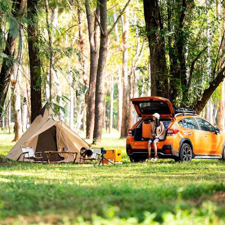 cover art for How tourism can save the US economy?