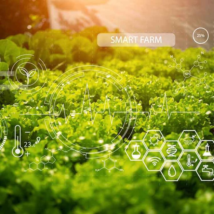 cover art for China has left the US behind in science