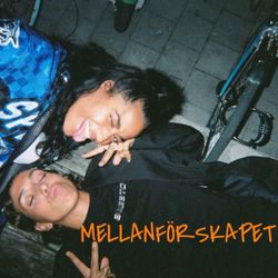 cover art for Mellanförskapet