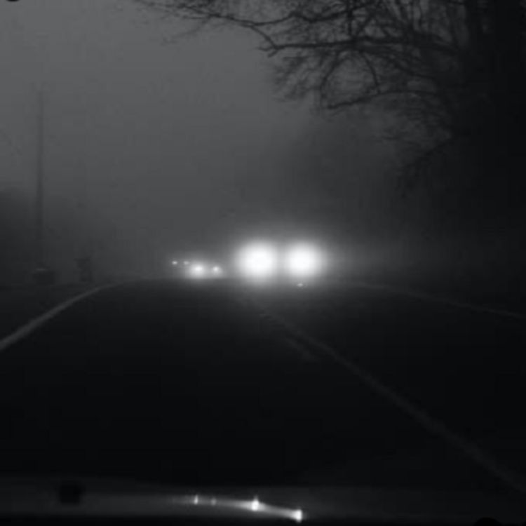 cover art for Experiencias Aterradoras de Traileros vol. 11