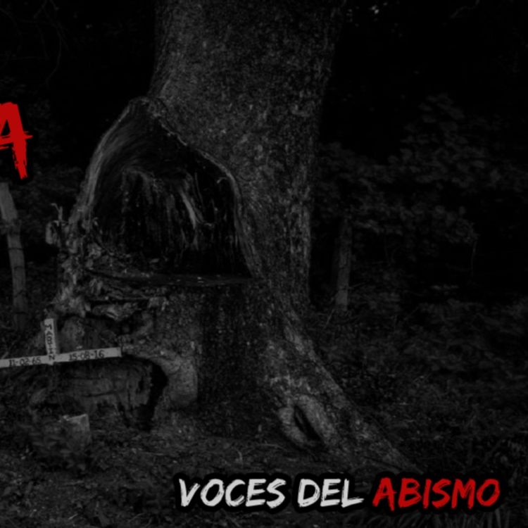 cover art for LAS CRUCES DE LA CURVA y más historias aterradoras