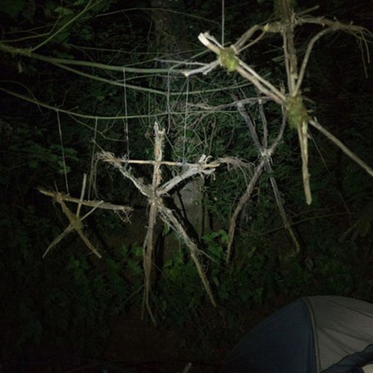 cover art for EL TERROR QUE HABITA EL BOSQUE | Voces del Abismo